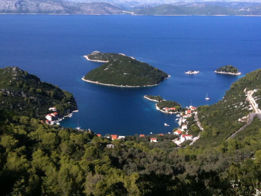 Villa Evita Apartments Prozura Bagian luar foto