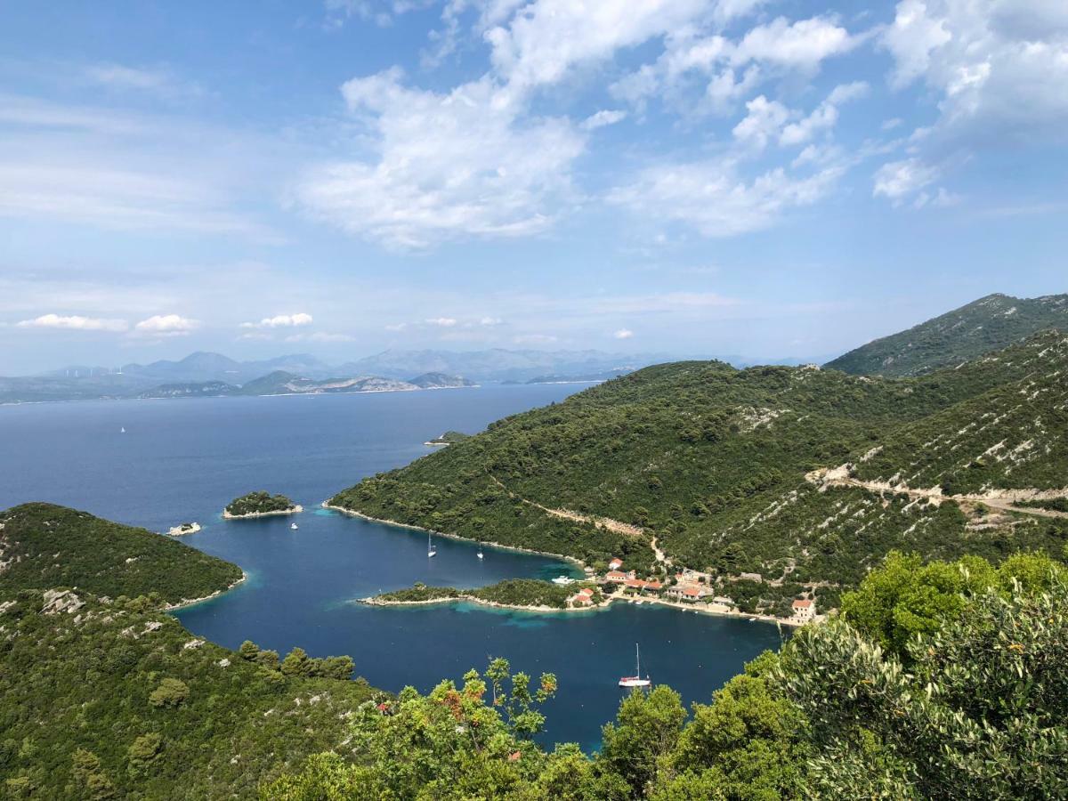 Villa Evita Apartments Prozura Bagian luar foto