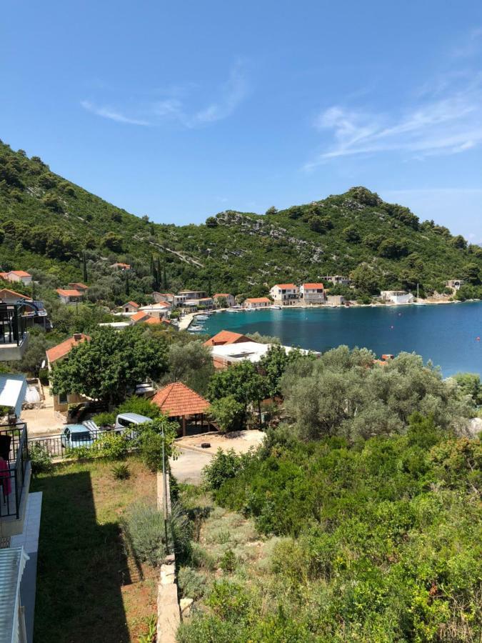 Villa Evita Apartments Prozura Bagian luar foto