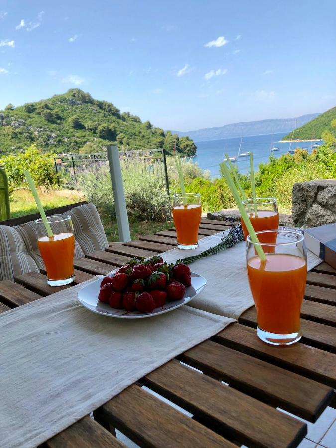 Villa Evita Apartments Prozura Bagian luar foto